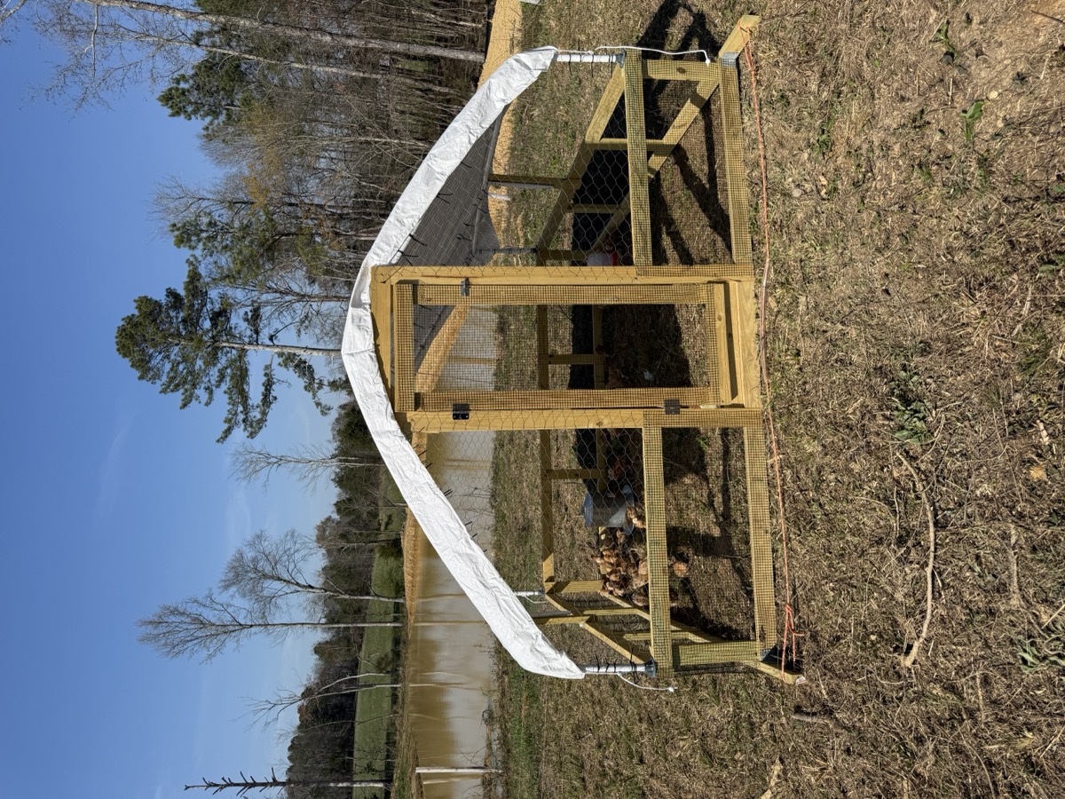 Chicken tractor next to the pond on a clear blue-sky day